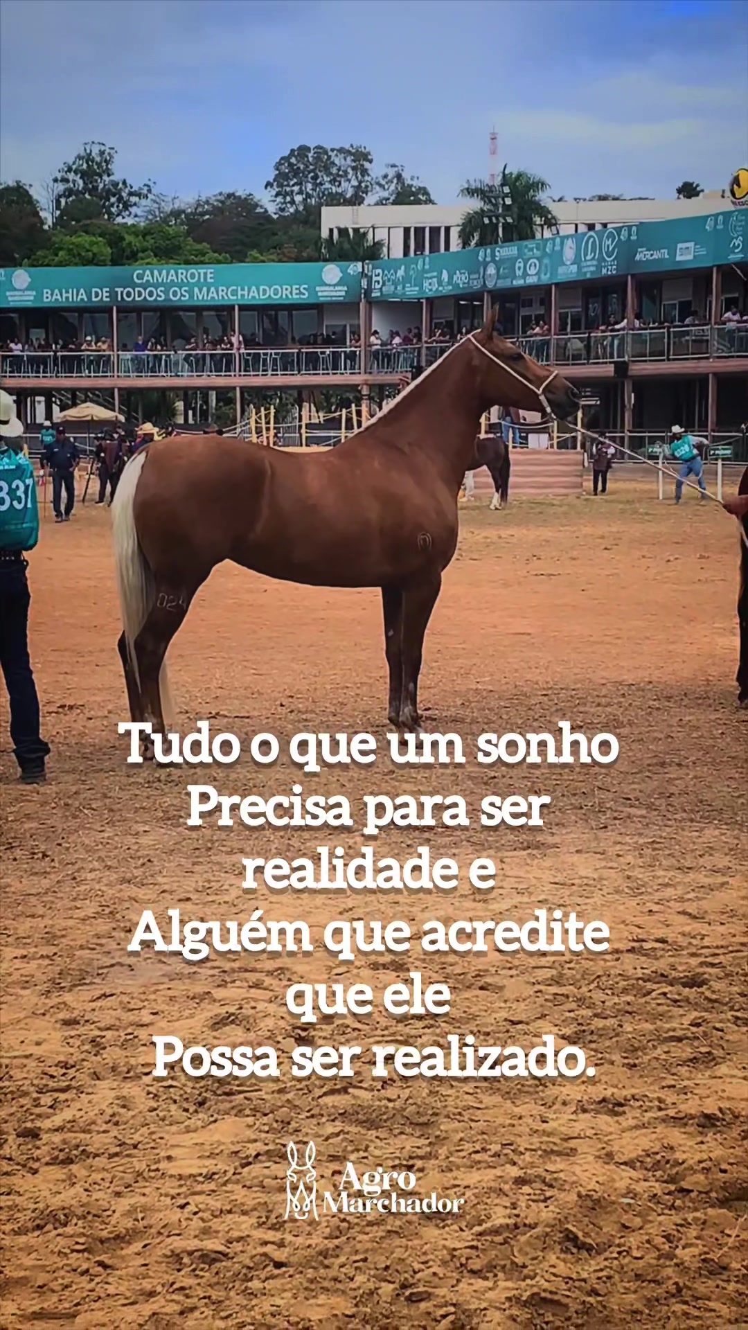 @Filipe Vieira