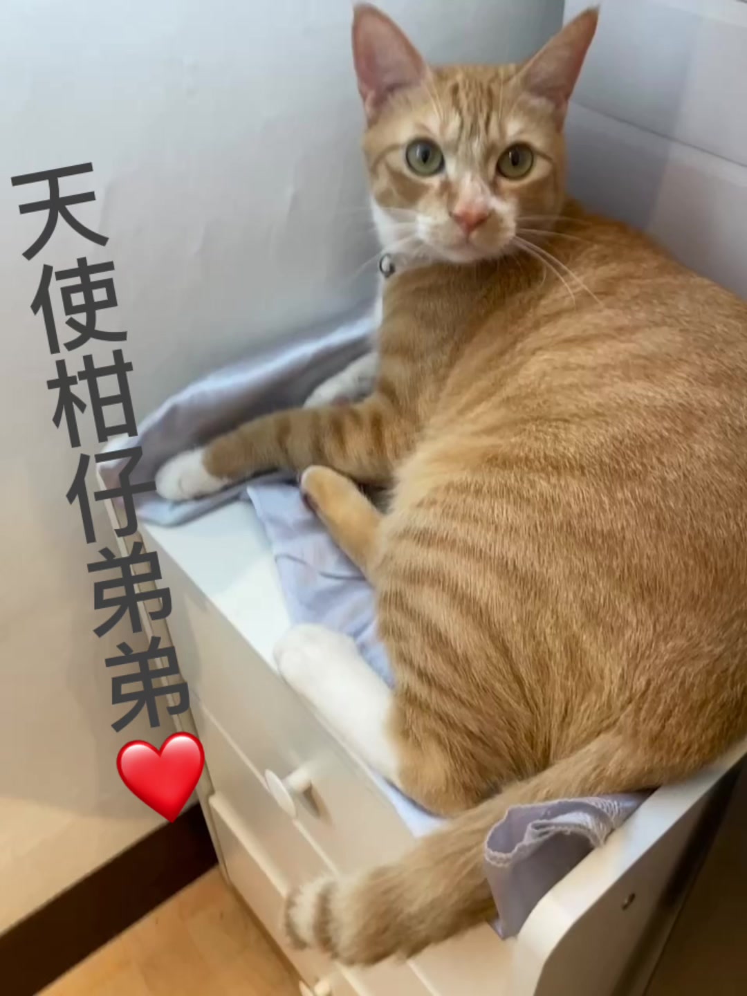 @柑仔弟弟