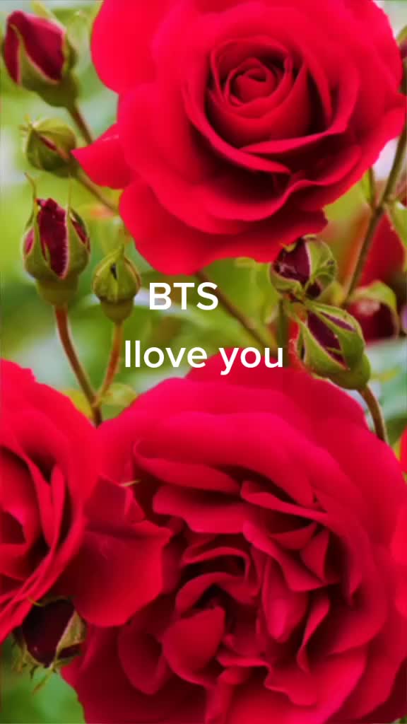 @user4568511398391