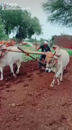 @Mr.@nirajjat3