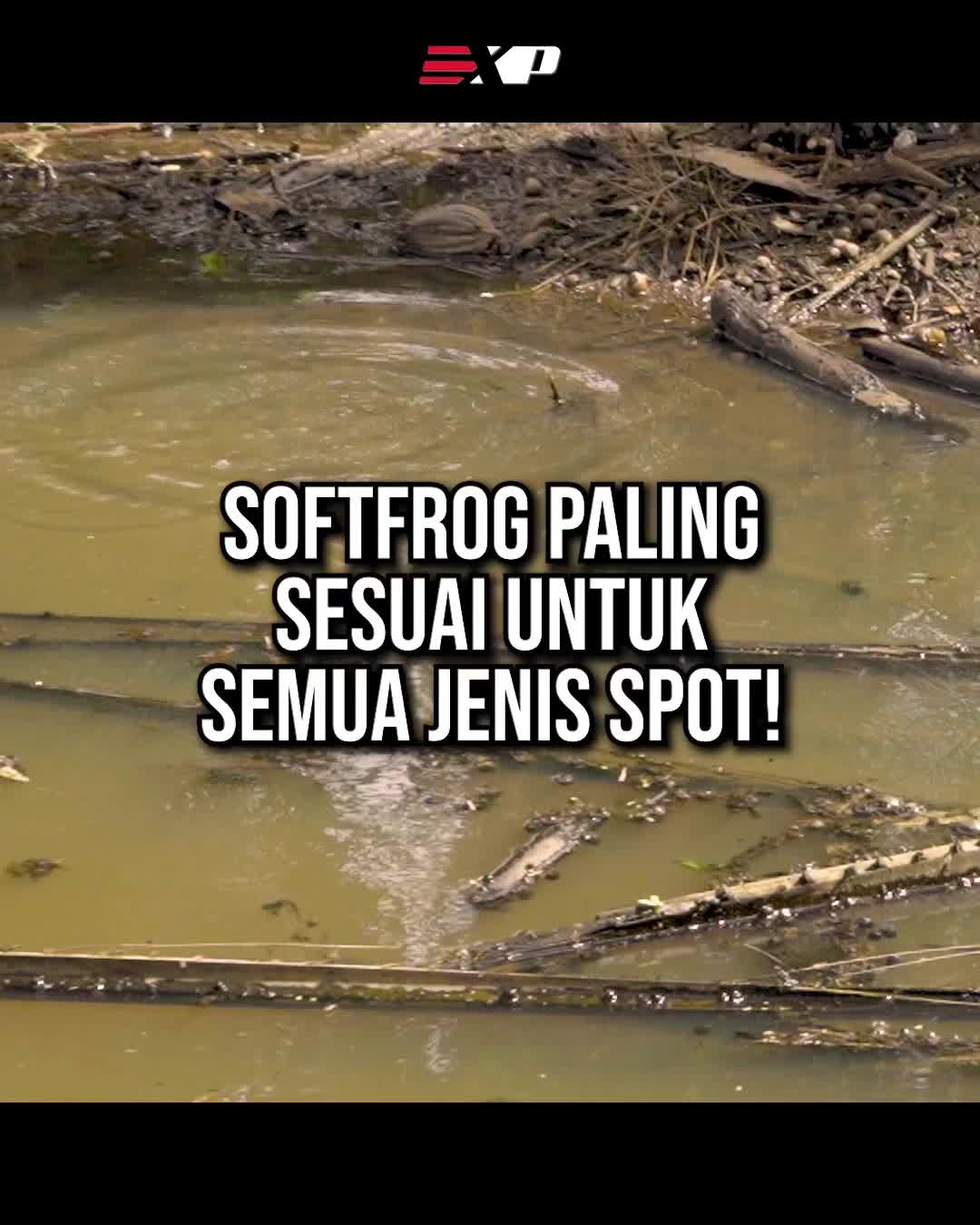 @EXP FISHING