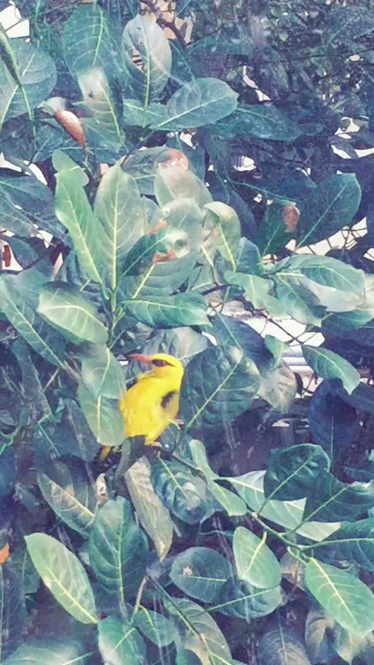 @Byju369