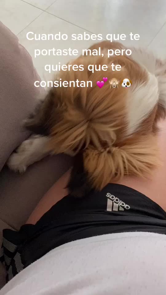 @SAM 🐾🦴