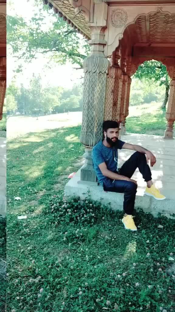 @yawar gull