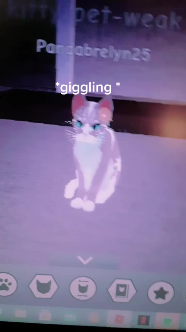 @warrior cats