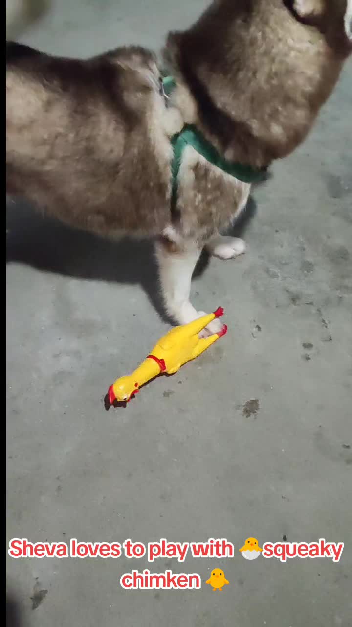 @Furmama