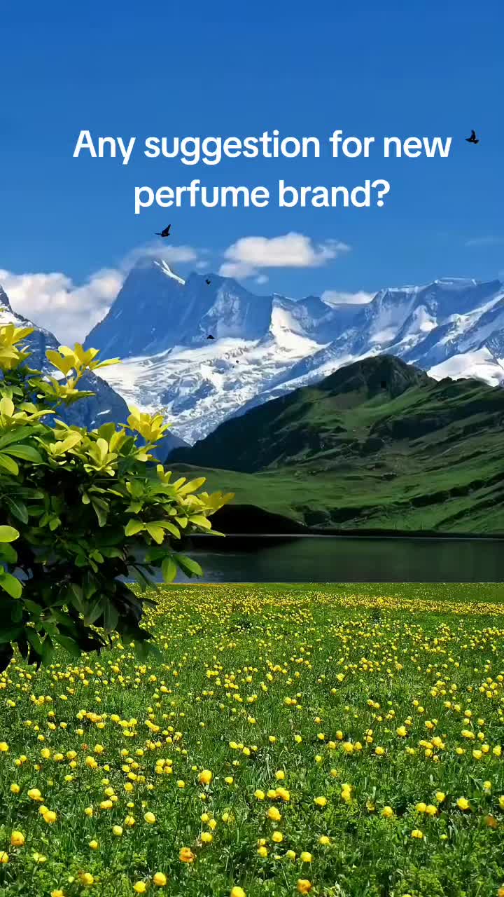 @Reem Fragrances