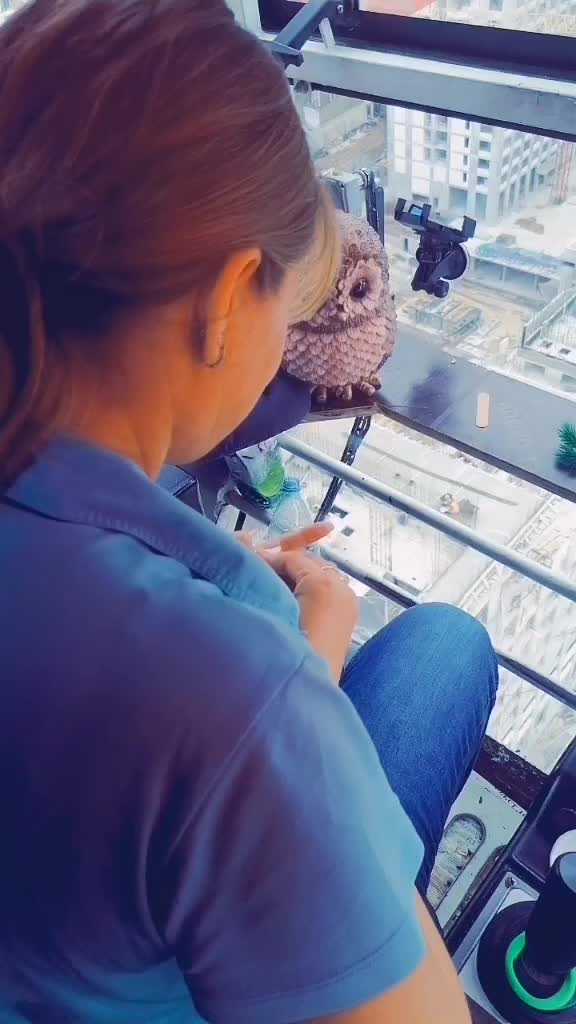 @Дарья Притуленко