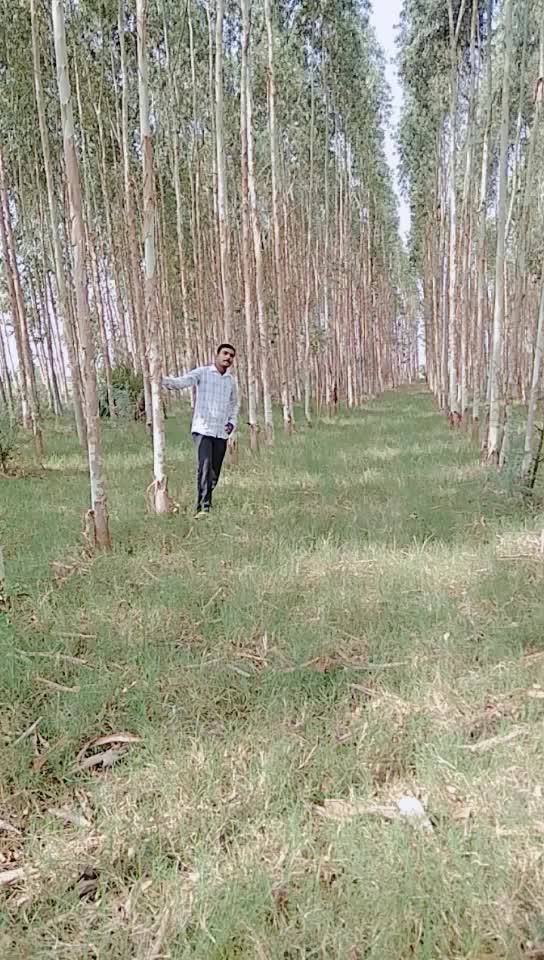 @Sombir Verma
