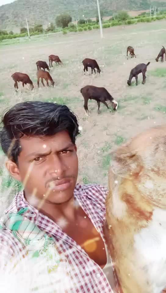 @Srikanth Reddy