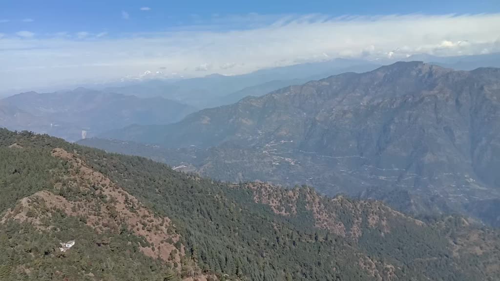 @Reshma Bhandari