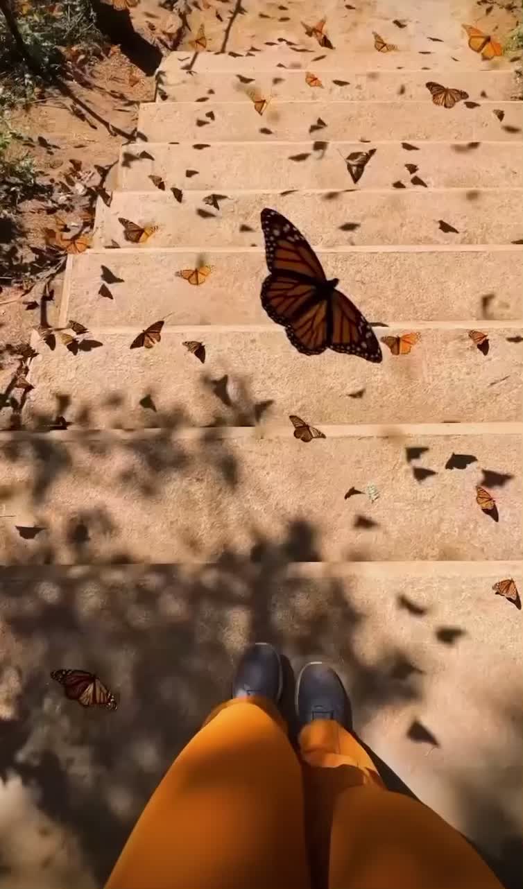 @n_s_a_y_m_a