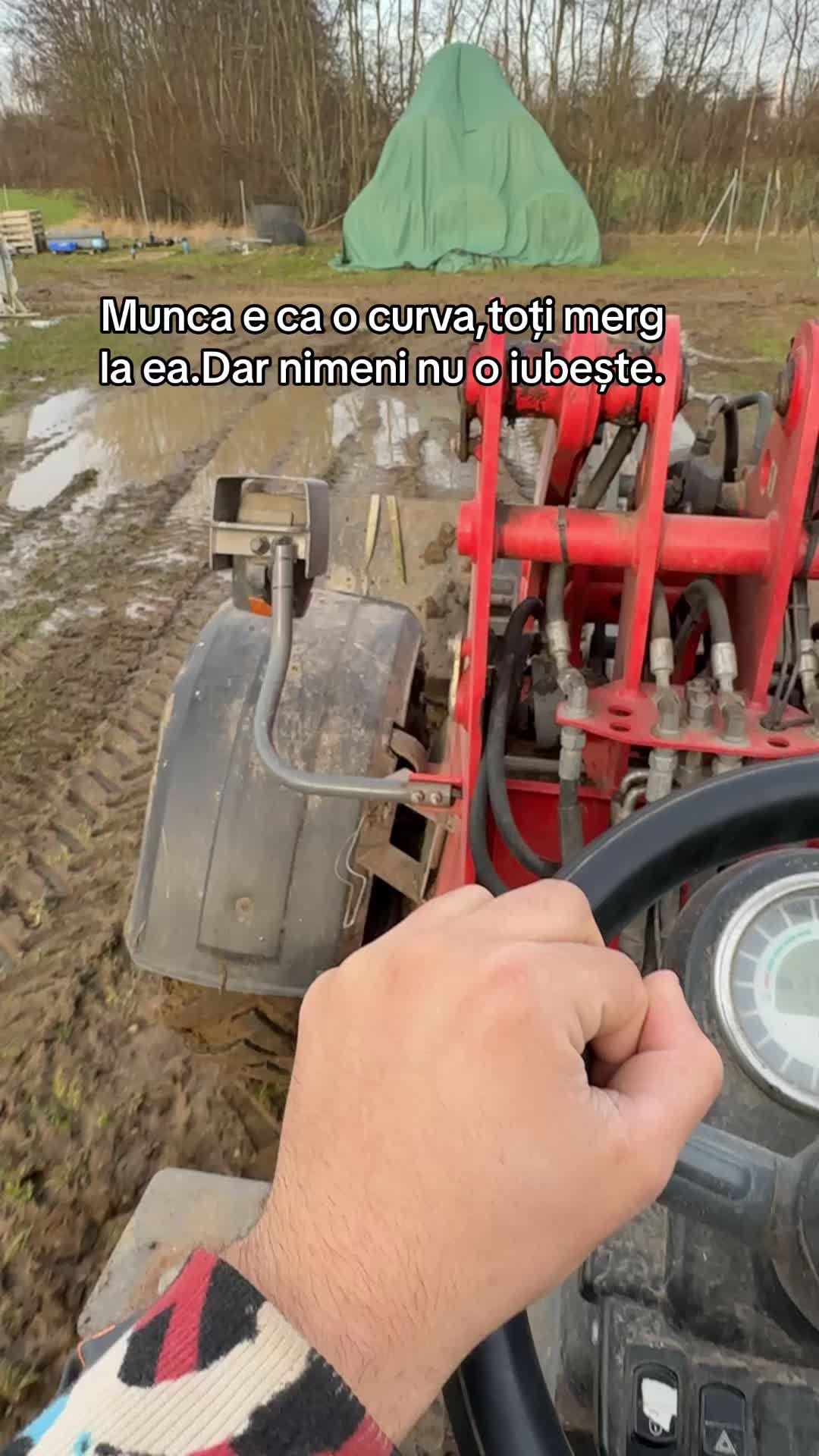 @Ilie Niculita🖤