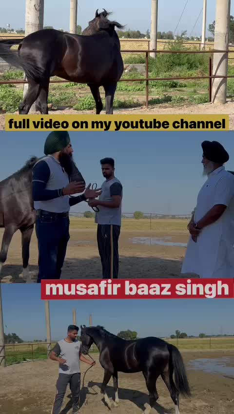 @Baaz singh (ਮੁਸਾਫਿਰ)