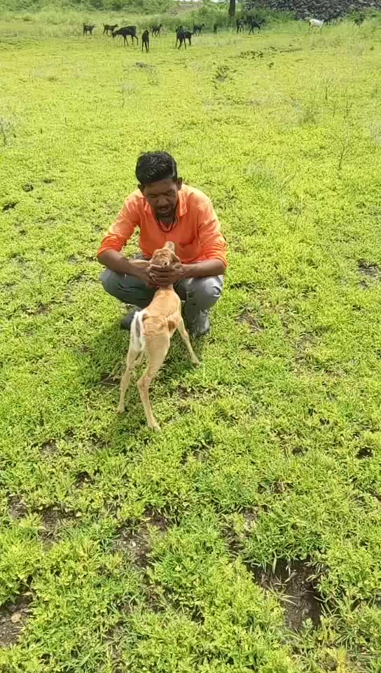 @कैलास काळे