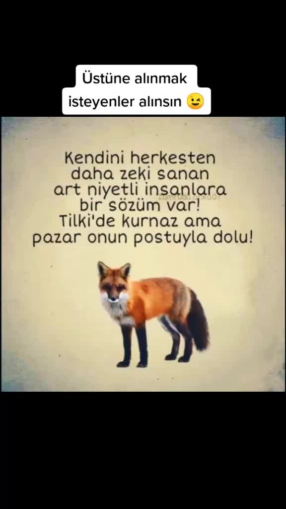 @Zumrudu.anka07