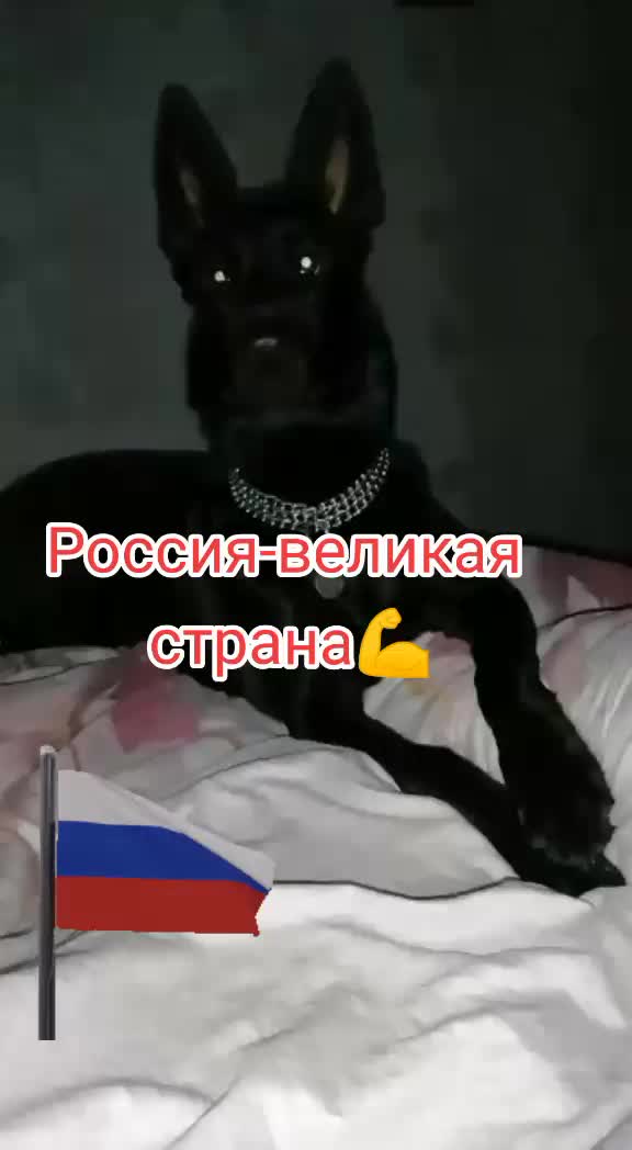 @Irinagerasimova