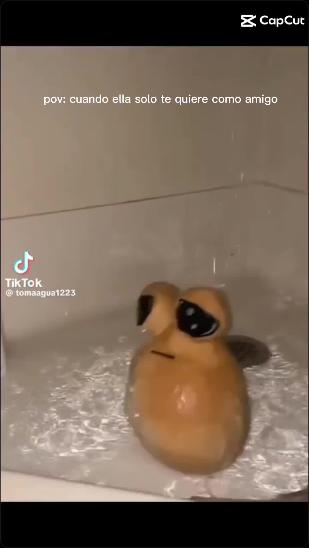 @srlentes2
