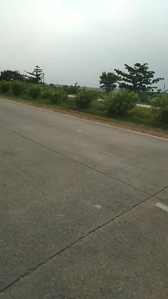 @Mamuni