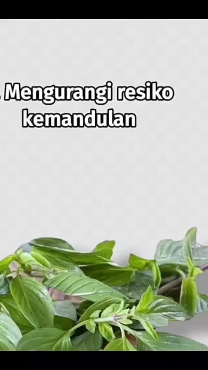 @Neo Healing