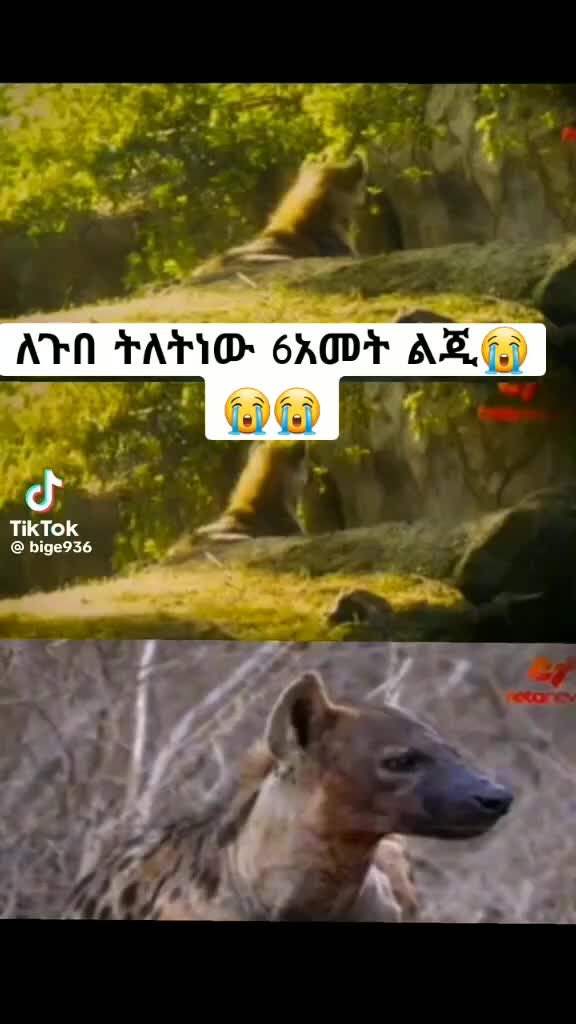 @የመካዋ ቀበጥ (S)♥♥