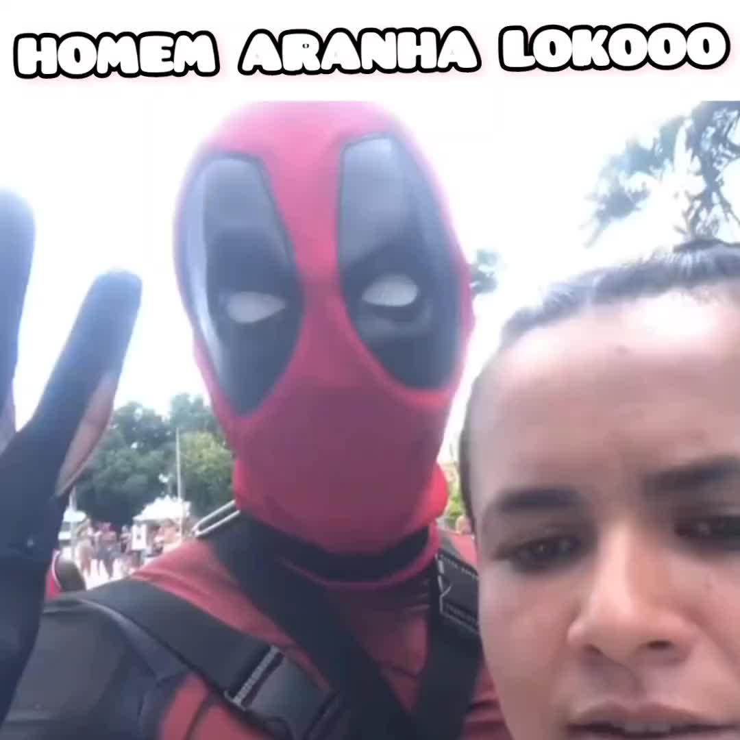 @Seta Loko