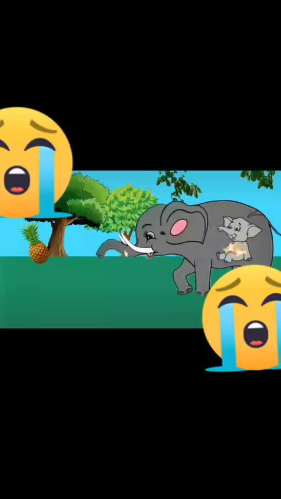 @Vk Bhai Vk Bhai995
