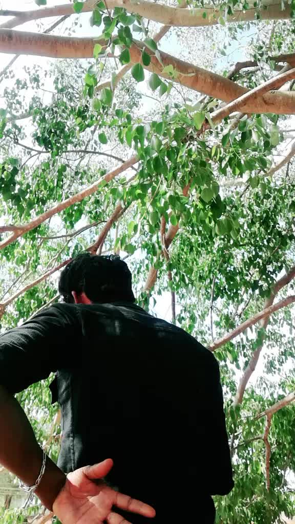 @saran... 143