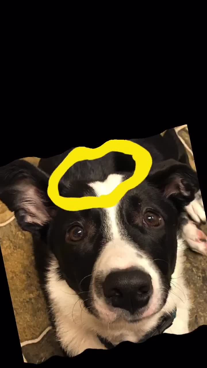 @Ray