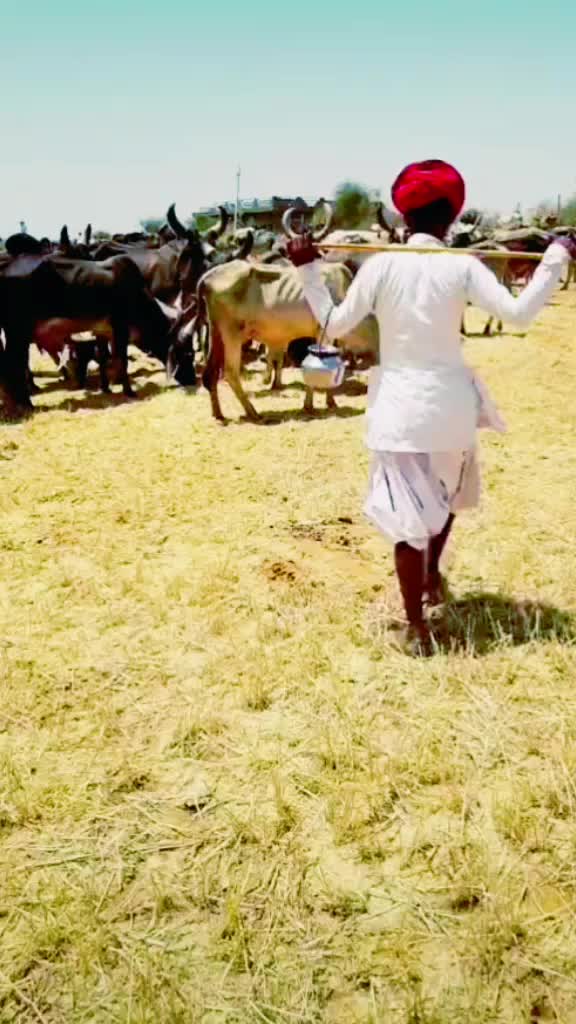 @🙏 FROM राजस्थान 🙏😎