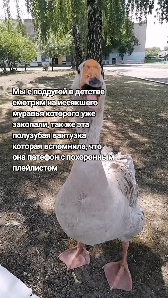 @Постирония от Артёмки 😉