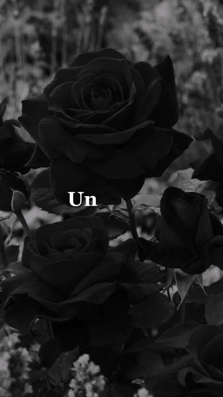 @🖤Mond💀