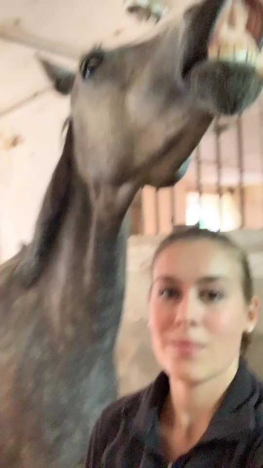 @Sophia Sandbichler