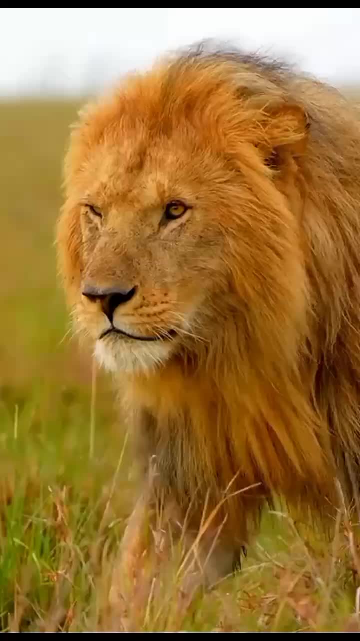 @PakhtoonYar5566