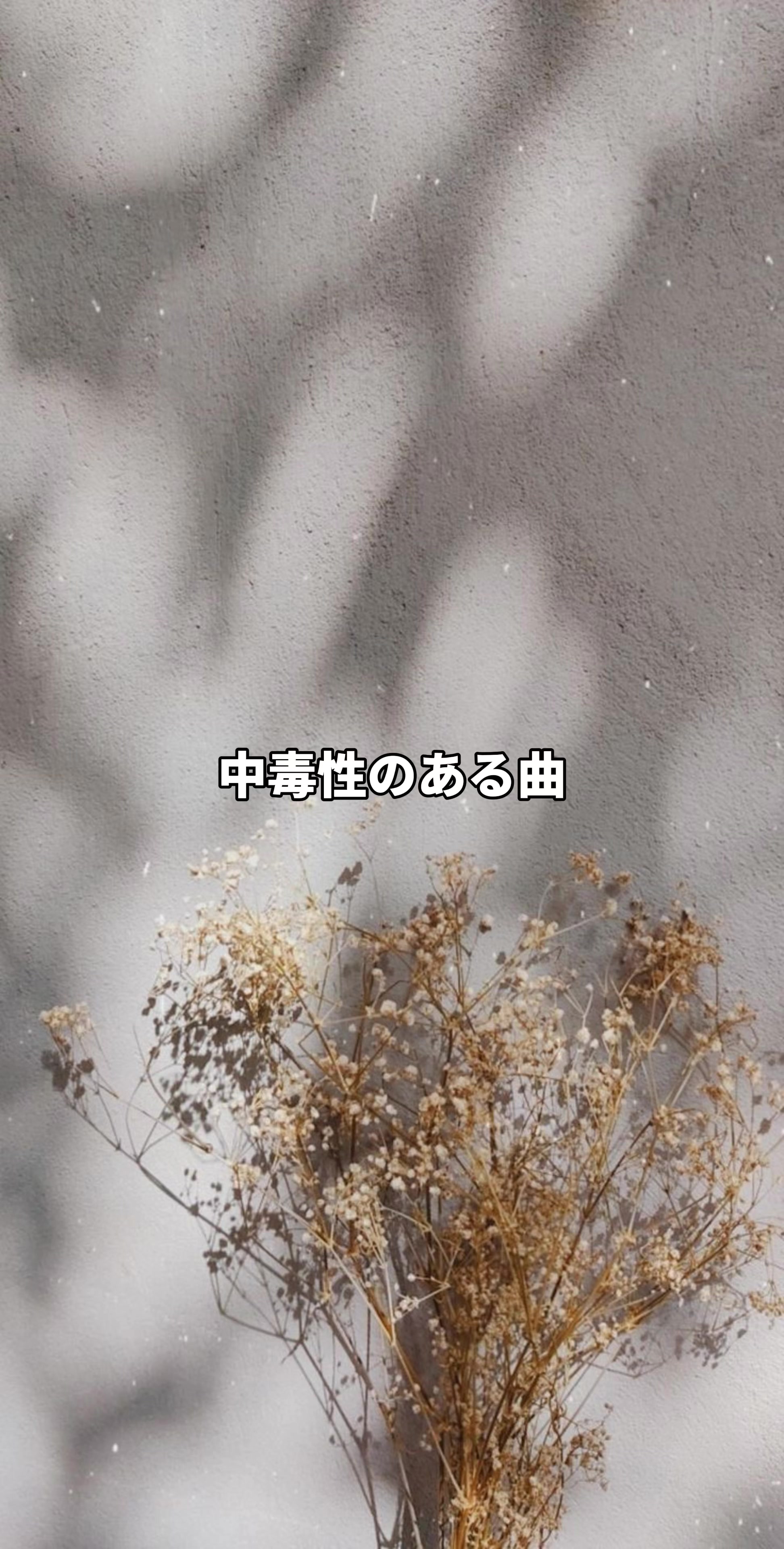 @たいが@音楽とファッション
