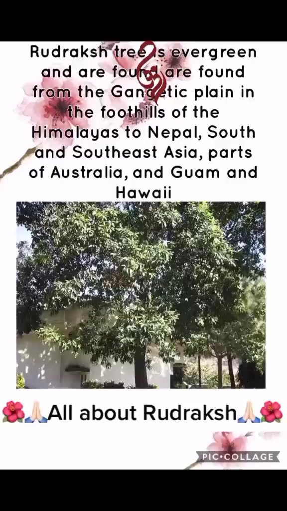 @Universal_Law