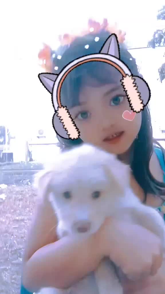 @joshiie23