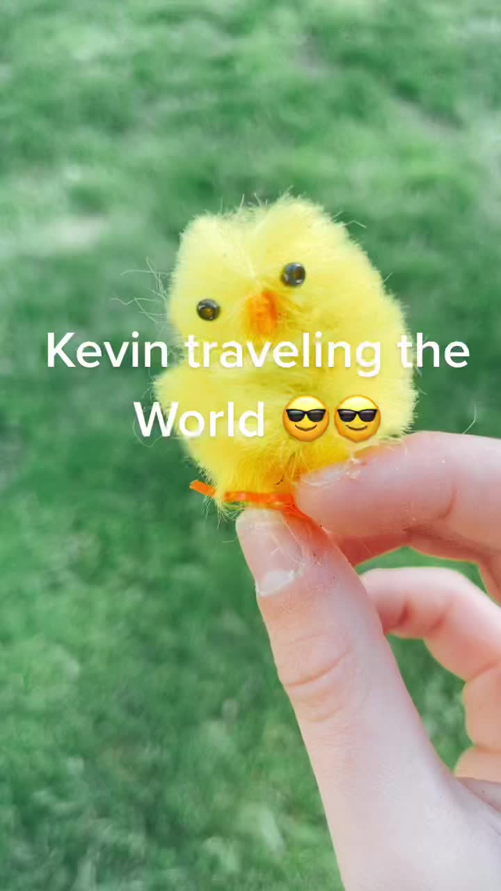 @kevin_the_chick_