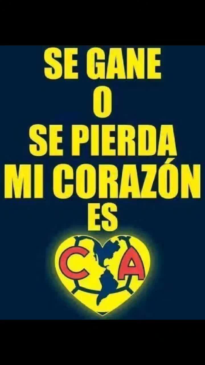 @Danika Zuzunaga