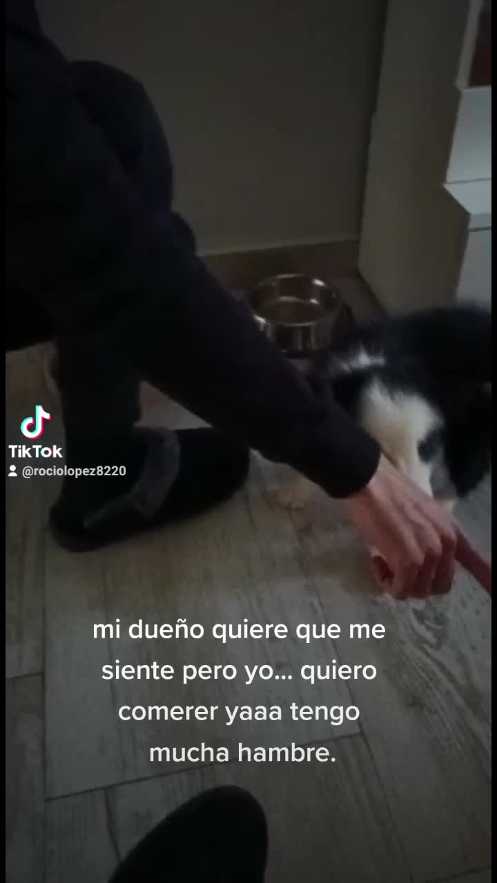 @Ro