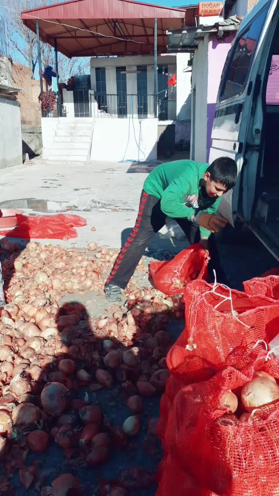 @ali şeşen