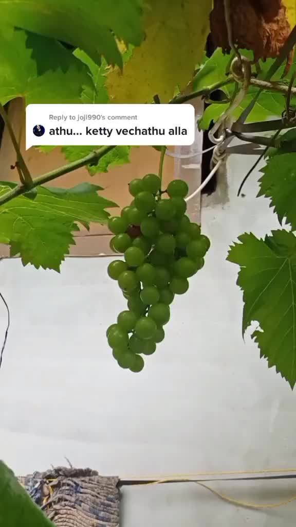 @ammukutty