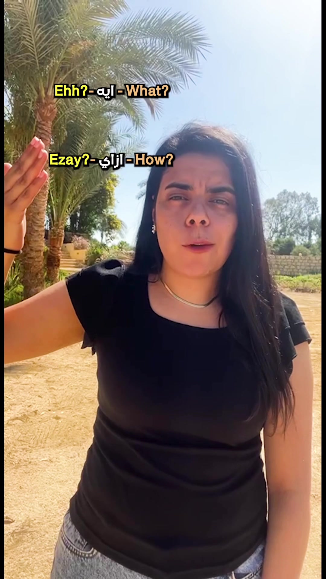 @Talk Native Egyptian Arabic