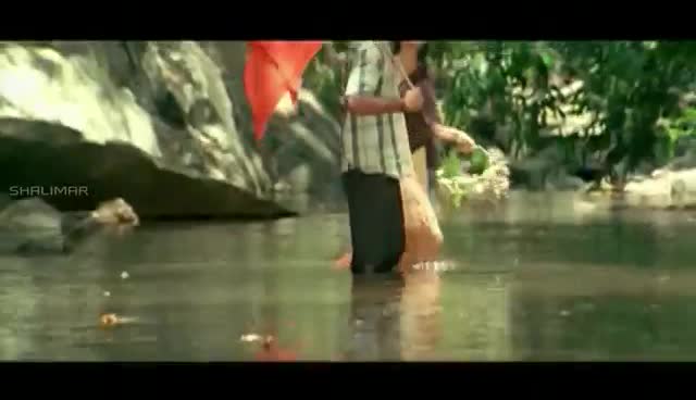 @Saiteja Janasena
