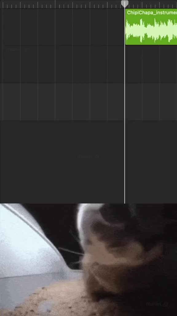 @⬛⬛⬛⬛⬛⬛⬛⬛
