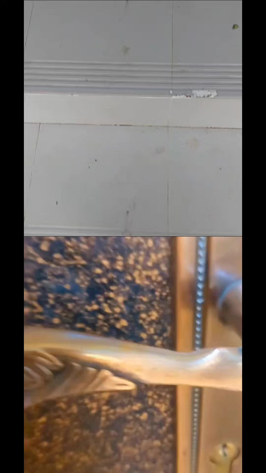 @đĻđ§đŠFarjanaRipađ¸đĻđĻ