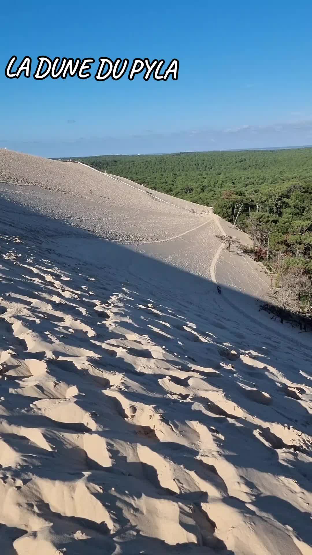 @Ksh