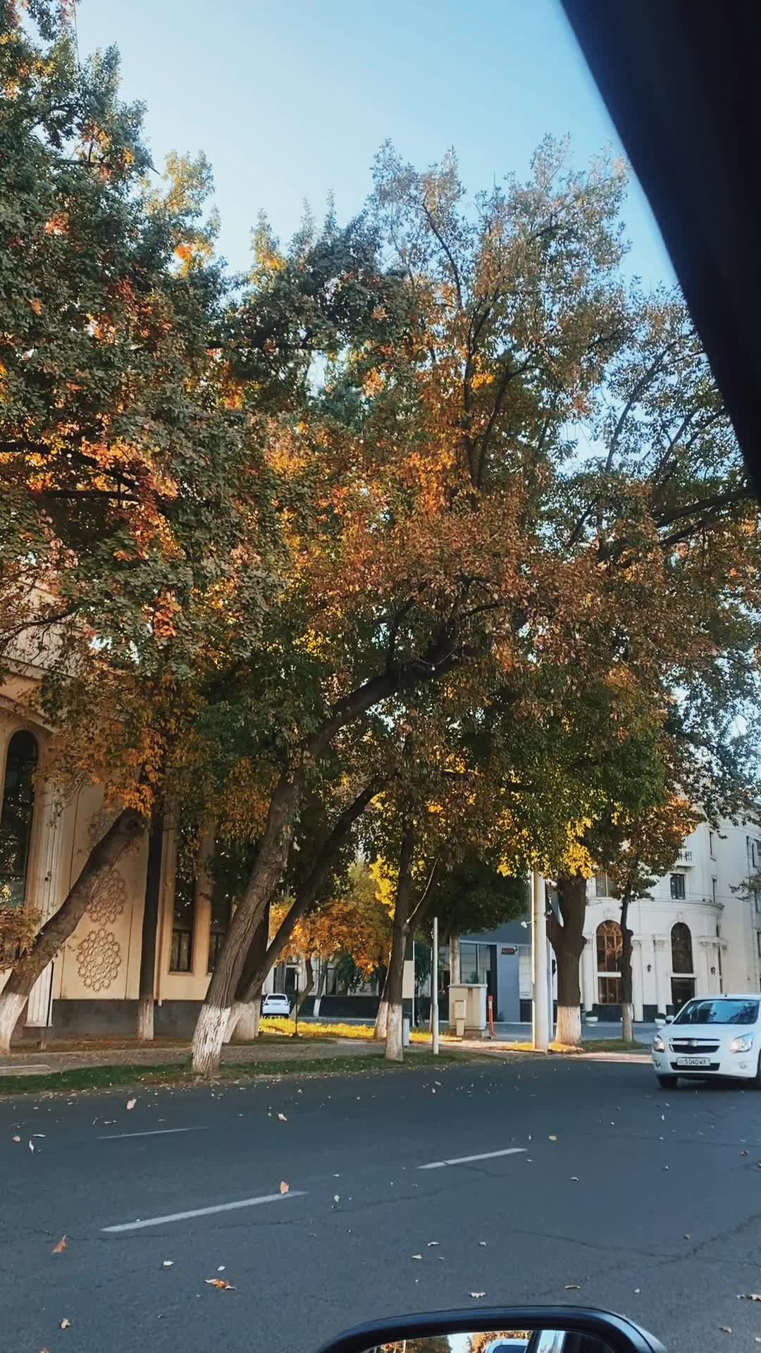 @Qaxxorov__S