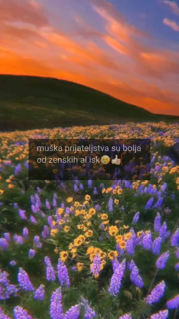 @helou