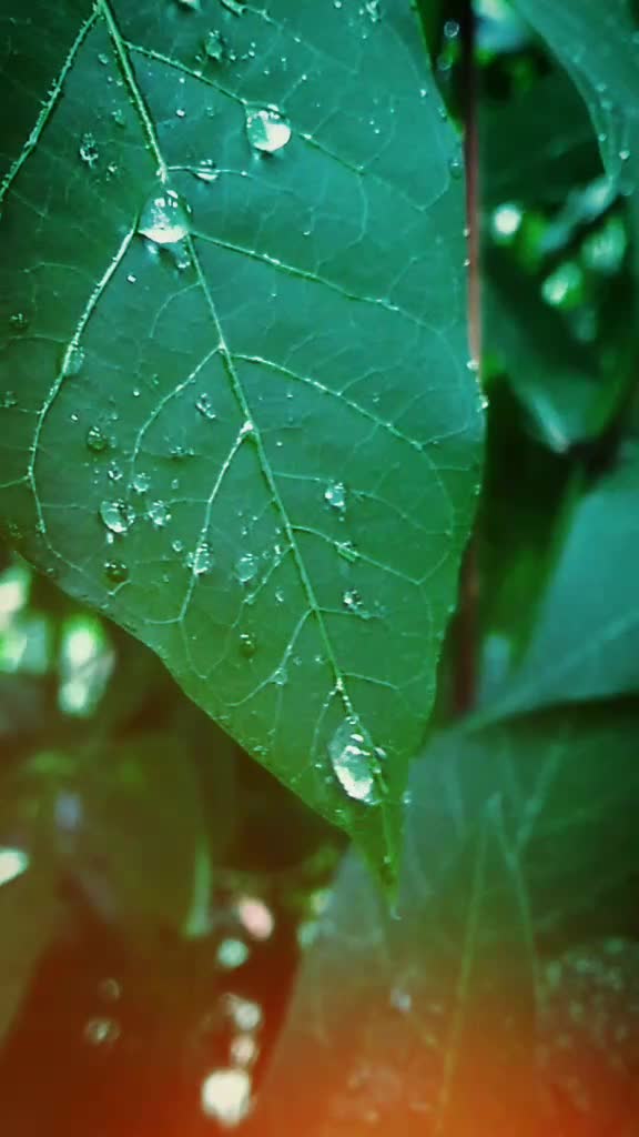 @_mr_photo_grapher_